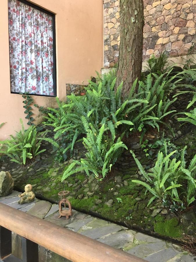 Mi Casa De Valle Valle de Bravo Eksteriør bilde
