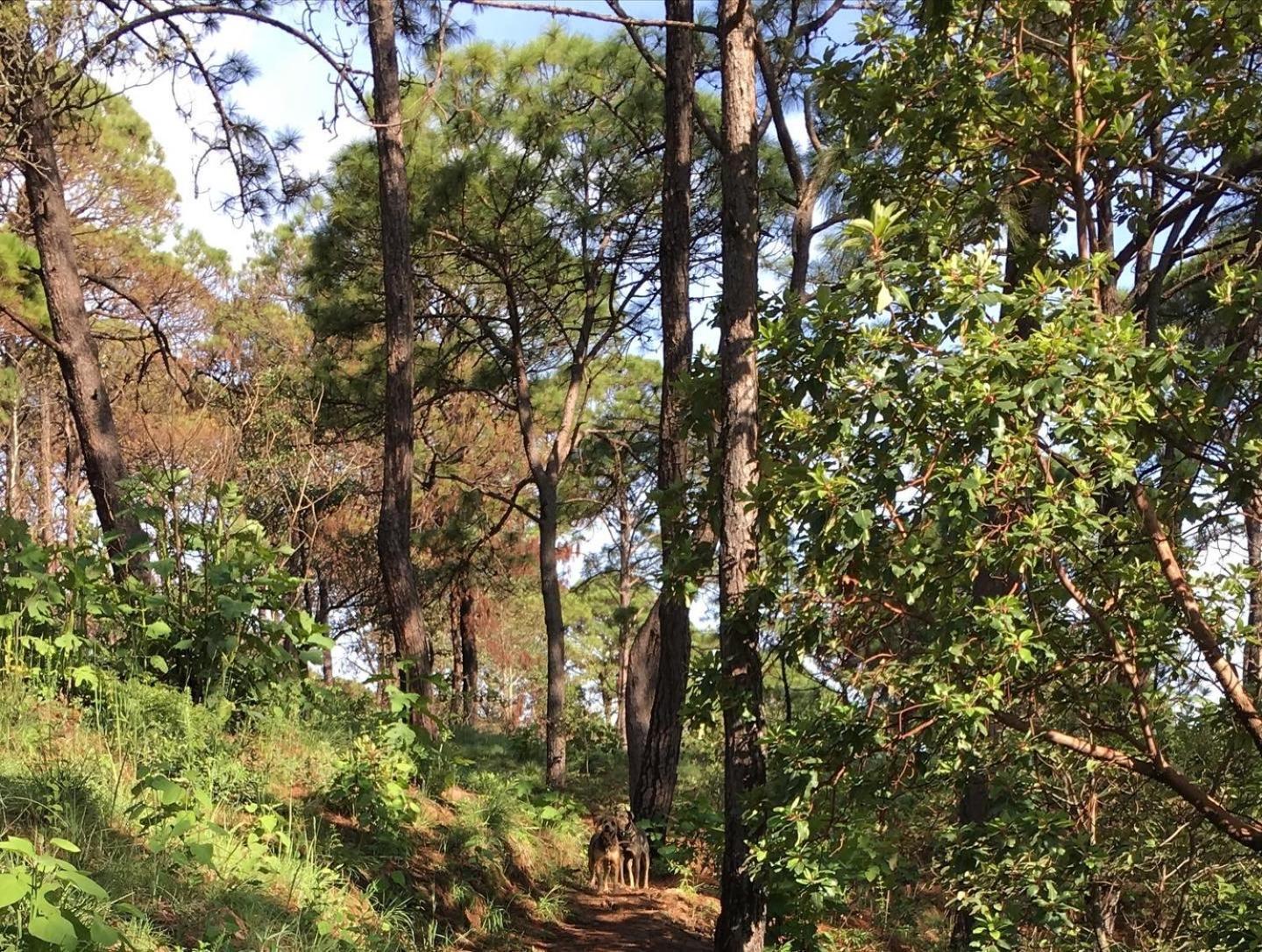 Mi Casa De Valle Valle de Bravo Eksteriør bilde